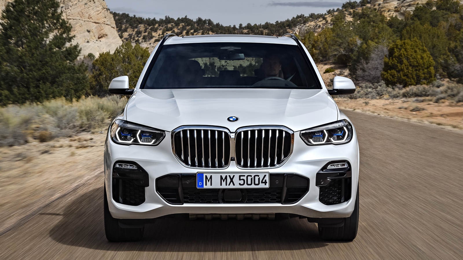 BMW X5 2019