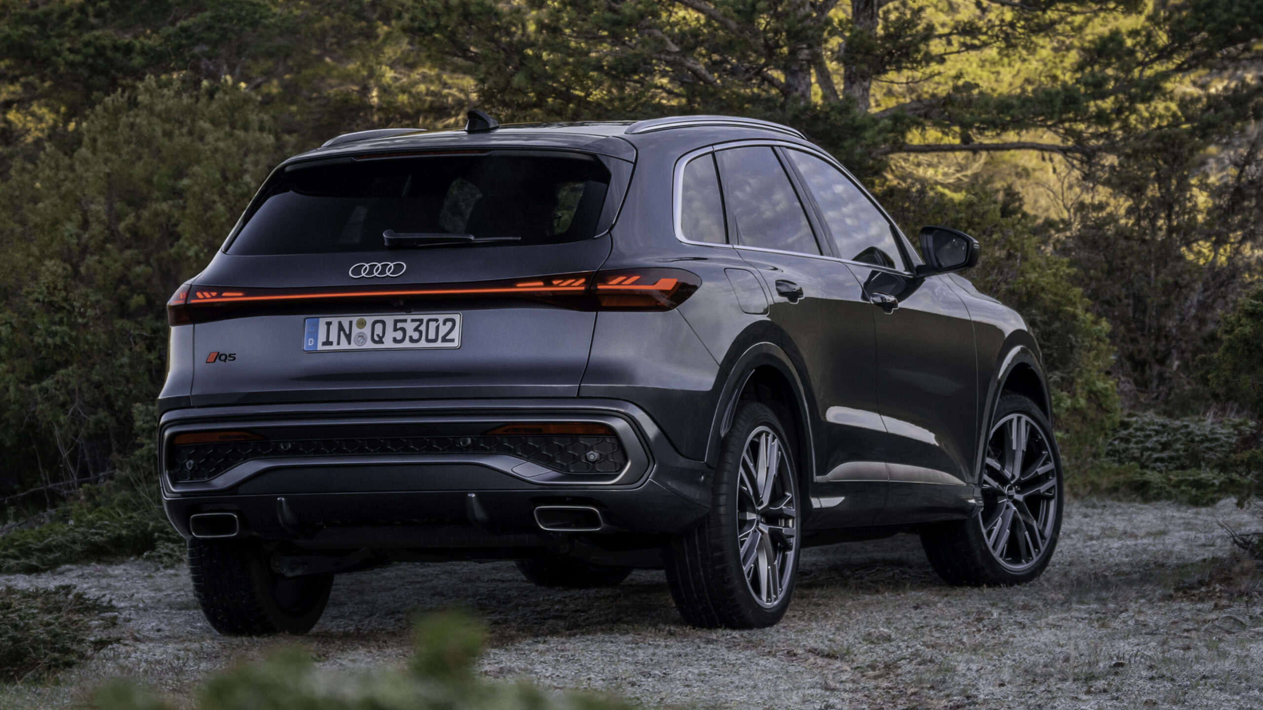 audi-q5-9-1-scaled.jpg?auto=format&cs=ti